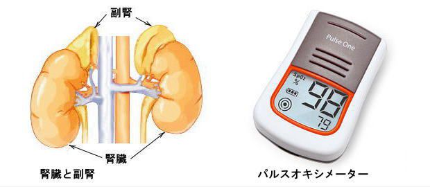 副腎　パルスオキシメーター