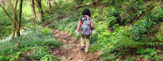 間質性肺炎とリハビリ登山